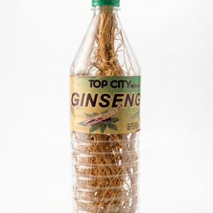 GINSENG ROOT